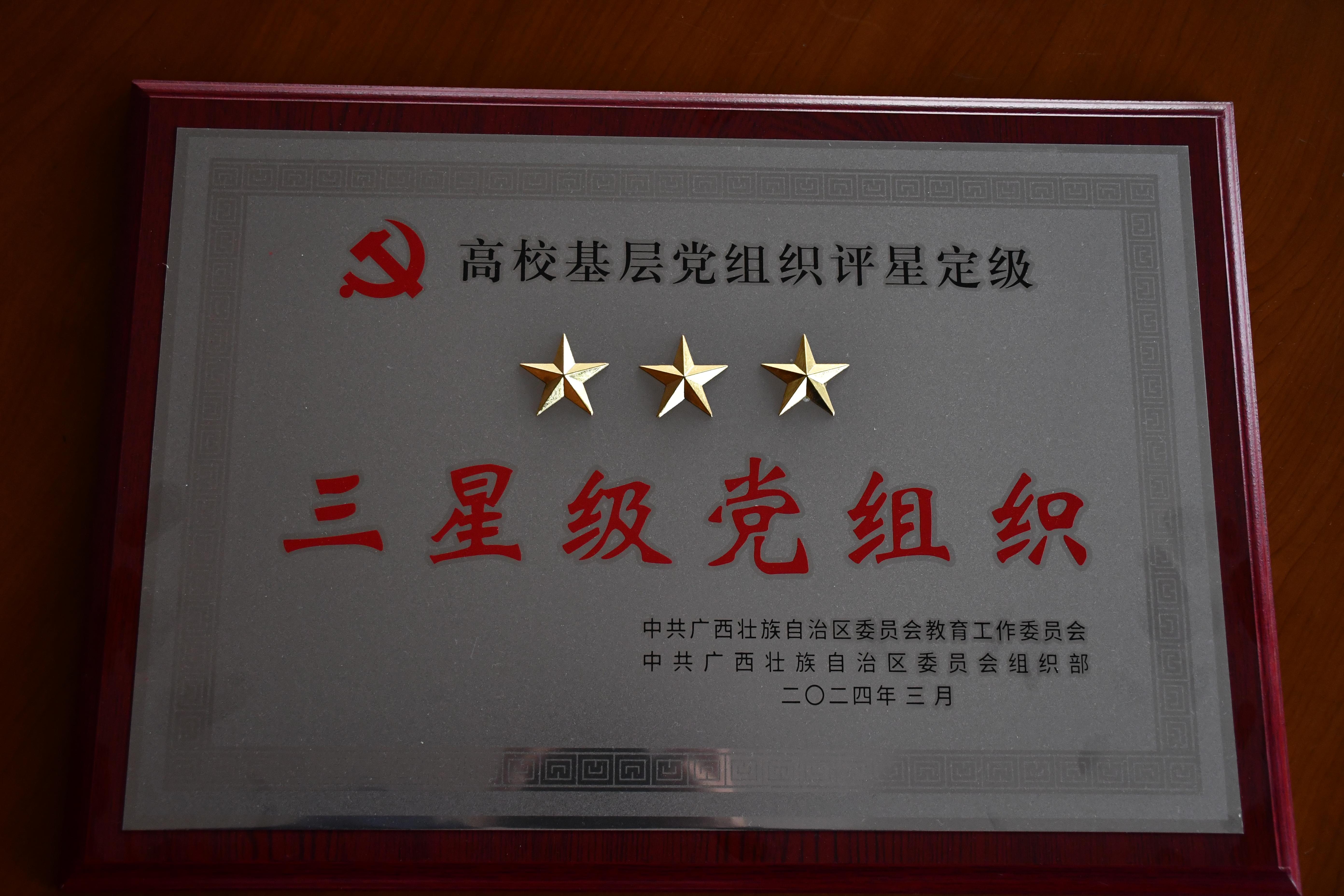 高校基层党组织评星定级三星级党组织